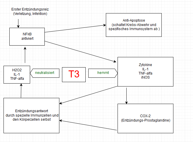 Teufelskreis der sich selbst erhaltenden Entzündung